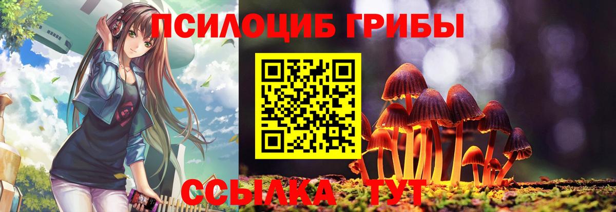 Галлюциногенные грибы Psilocybine cubensis  Галлюциногенные грибы мухоморы  Вход с VPN  Сорочинск 