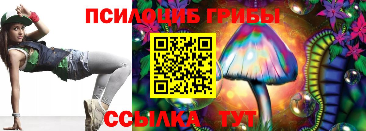 Псилоцибиновые грибы мицелий Сорочинск